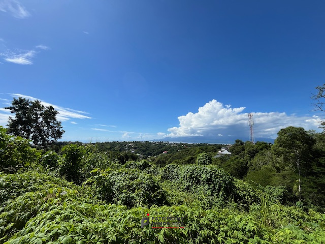 Photo bien immobilier